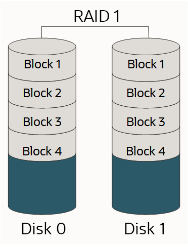Click to expand This image shows a RAID 1 array.