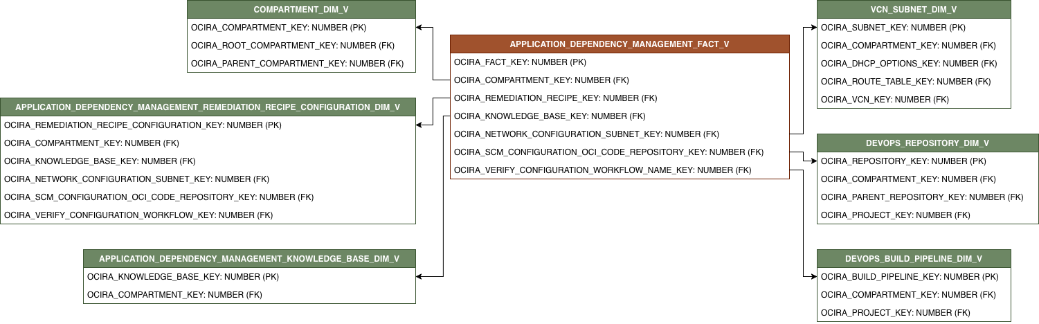 Relationship diagram showing the fact table APPLICATION_DEPENDENCY_MANAGEMENT_FACT_V and its related dimension tables.