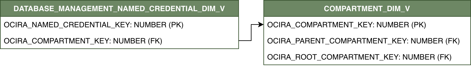 Relationship diagram with DATABASE_MANAGEMENT_NAMED_CREDENTIAL_DIM_V connected to COMPARTMENT_DIM_V.