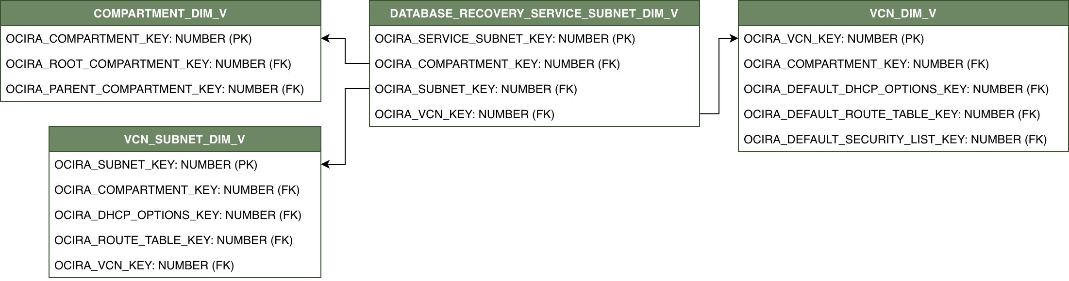 Relationship diagram showing DATABASE_RECOVERY_SERVICE_SUBNET_DIM_V and its related dimension tables.