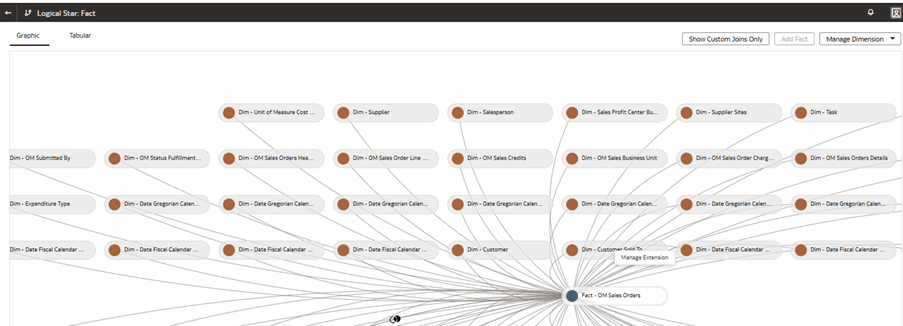 The Logical Star: Fact page displaying the Dim – Customer Sold To dimension