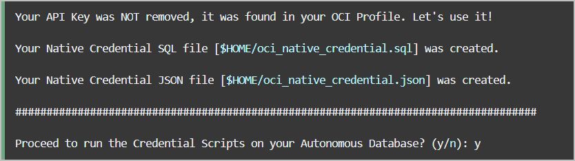 Description of cs_run_script.png follows