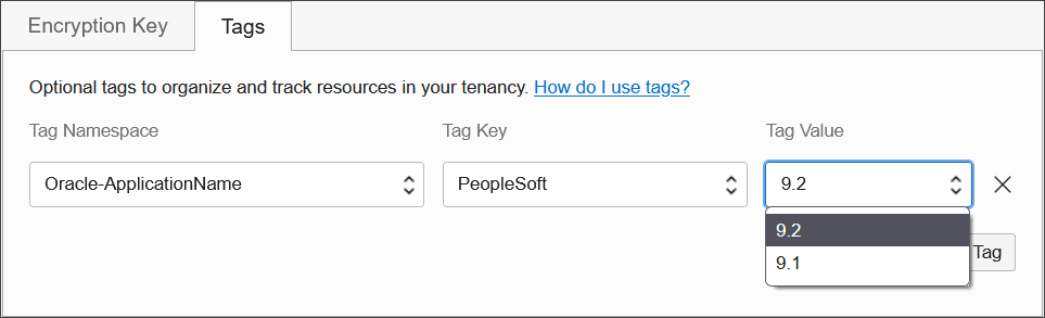 Setting an appropriate application tag key in the Oracle-ApplicationName tag namespace. Setting an appropriate application tag key in the Oracle-ApplicationName tag namespace.