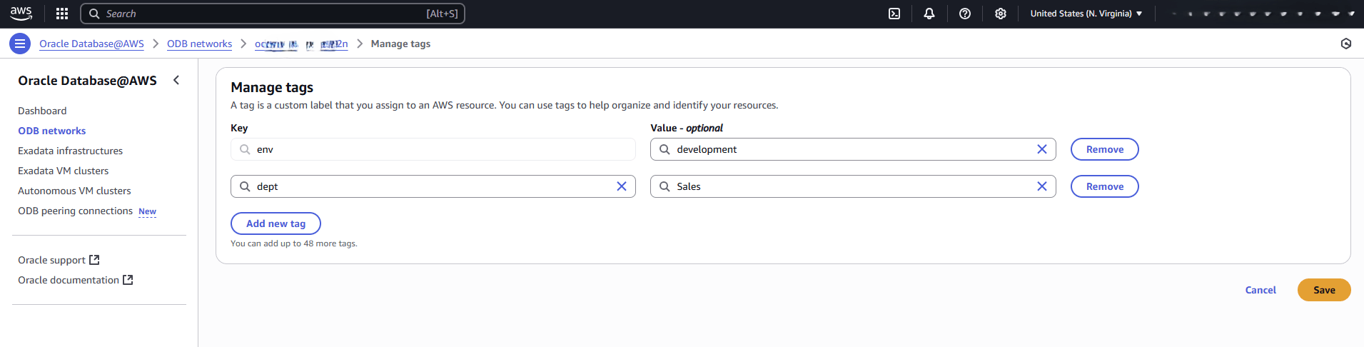 This screenshot shows the last part of managing tags in ODB Network This screenshot shows the last part of managing tags in ODB Network
